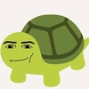 turtle_100133