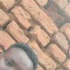 user32858007230818