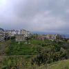 rawaya28