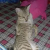 kieuooanh2012