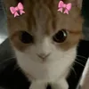 natalieee2301