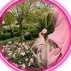 jannatul.rim75