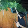 suavip