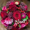 aom_mohamed_