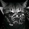 nay.roarr