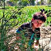 shafieq_khan