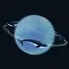 whale_52blue