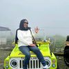 mamilaundry8