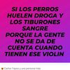 caballo181