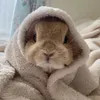 cutekpop_5