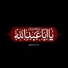 areej3130