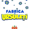 Fabrica De Ursuleti