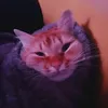 petresrwiuj