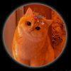 cutecatekhan