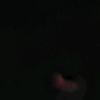 ali.mohammad5761