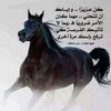 user7919286118837