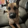 dave75719