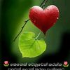 upulshantha5017
