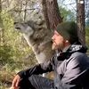 ratel971