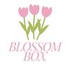 Blossom Box🌷