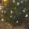 user8401320909995
