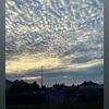 amya_0000
