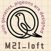 pigeons_and_genetics