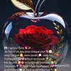 user1510655872506