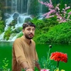 saeedkhan8035882