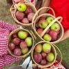 Hillcrest Orchards