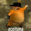 .aceituna3