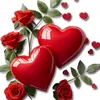 gafar4664