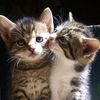 eshaislam98765