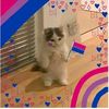 leo2193_