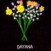 dayanaa.045