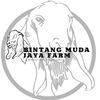 Bintang Muda Jaya Farm
