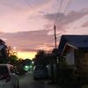 littlesstar_230