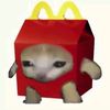 zimupbgt