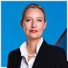 afd_auf_ganzer_linie