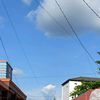 savia668