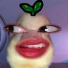 buttrflyasya