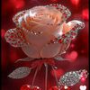 khin.lay2872