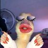 sall_2790