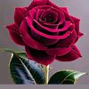 md.farok.mia31