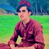 amir.wazir.126