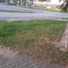 jacek.surdel