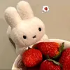 raerecos_