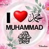 hussain3809h