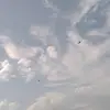 juttsaghab1