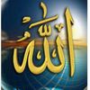 user73345325716656
